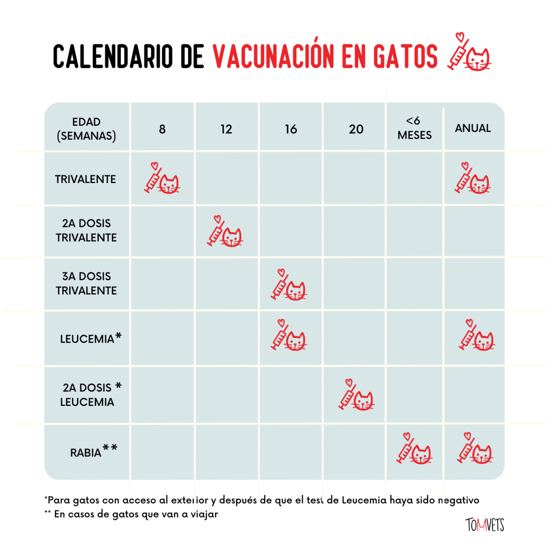 Calendario de vacunación para gatos - TomVets