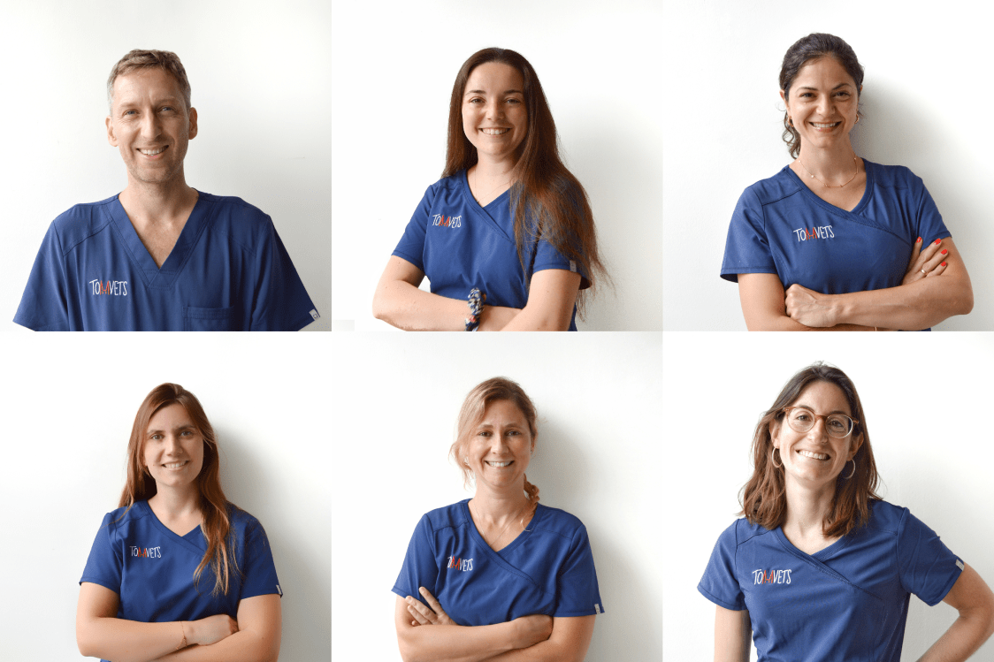 Equipo TomVets - veterinario a domicilio Barcelona
