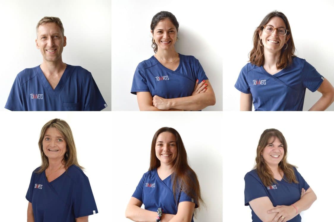 Equipo TomVets - veterinario a domicilio Barcelona (1)