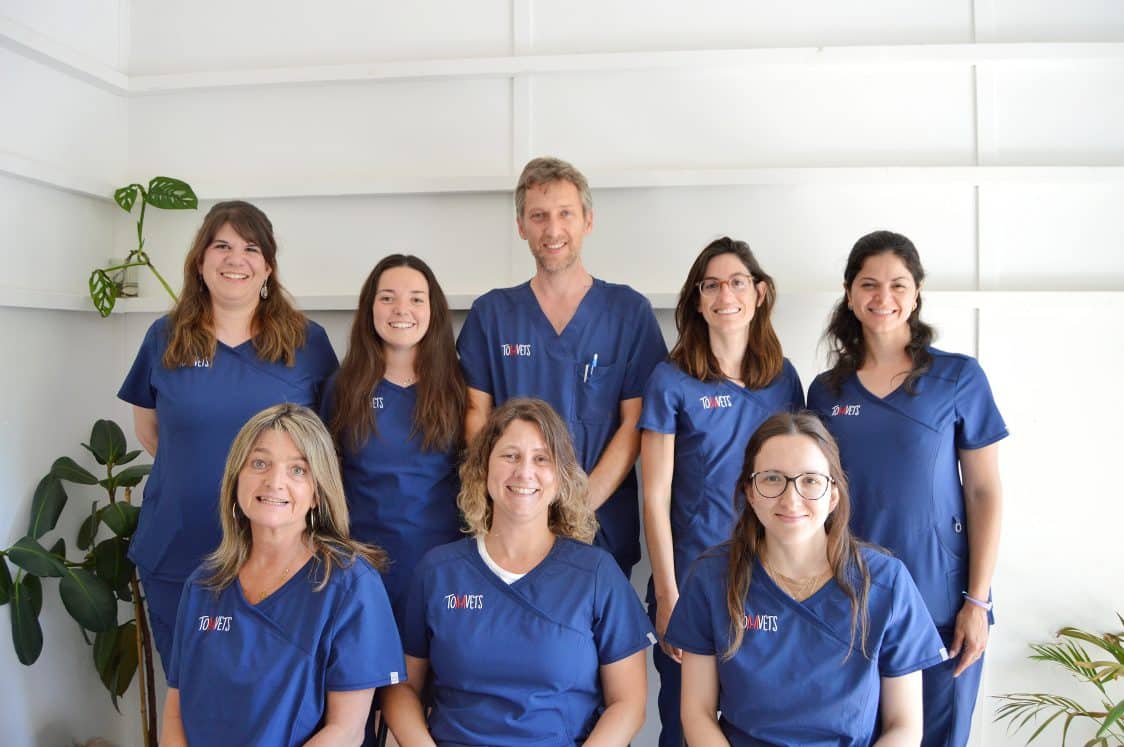Mejor veterinario a domicilio Barcelona - TomVets